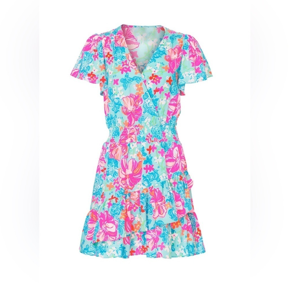 Lilly Pulitzer Maryanne Dress 8